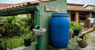 como captar agua de chuva e armazenar em casa em tambor de plastico.wbep 1
