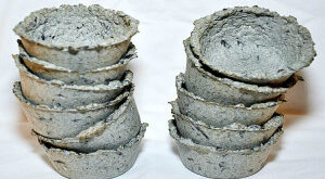 cad51 seedcups 2 vaso 300x1841 1 1