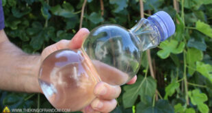 dd5b9 fogo agua garrafapet