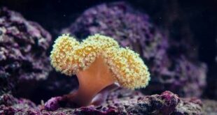 30f0e 26104103086 848735b2fb k.jpg.400x300 q70 crop smart