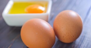 fe327 gravidas devem evitar comer ovos cru devido a salmonela