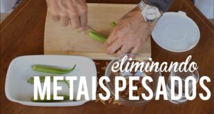 a057d como eliminar metais pesados do corpo