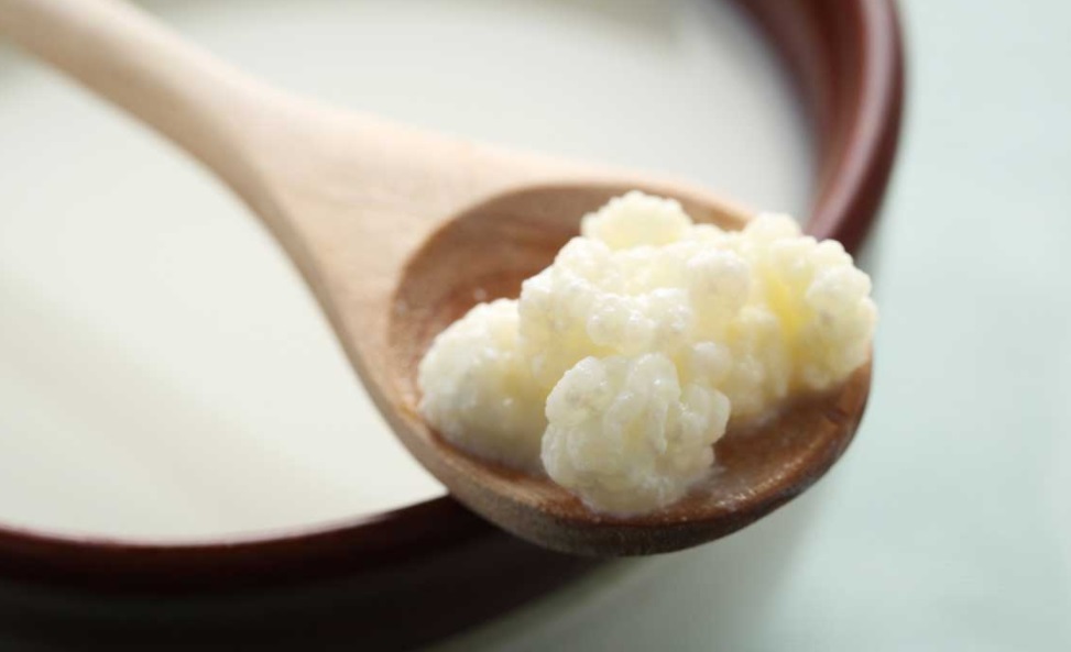 fe4fd alimentos fermentados para impulsionar a digestao e a saude