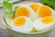 8fbea descubra como emagrecer comendo ovos