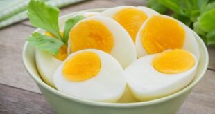 8fbea descubra como emagrecer comendo ovos