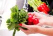 Como Tirar Agrotóxico e Higienizar Frutas, Verduras e Legumes em Casa