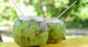 4fdd5 10 beneficios incriveis da agua de coco apos o treino e exercicios