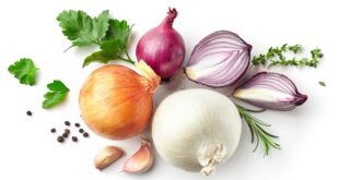 6d41c beneficios e propriedades da cebola 2