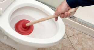 99384 como desentupir vaso