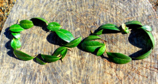 circularleaves Hyper Story sstock