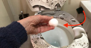Bombas de limpeza para o banheiro