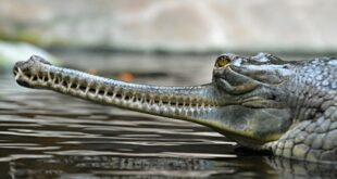 1629580772 839 19 de agosto Dia Mundial da Fotografia 2021 Instantaneos fantasticos