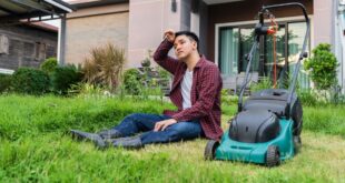 AdobeStock 439259952 1