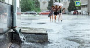 AdobeStock 115832038 1