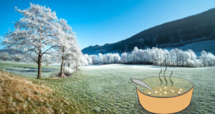 campo nevado y sopa