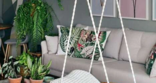 42 ideias para comecar a aderir ja a Samambaia na