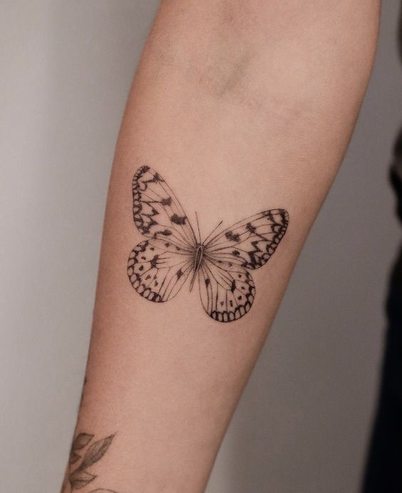 1666909262 135 Diferentes desenhos para tatuar uma borboleta