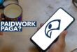 Paidwork paga Saiba tudo sobre a plataforma de trabalho online