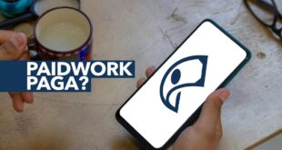 Paidwork paga Saiba tudo sobre a plataforma de trabalho online