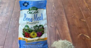 Refeicao de ossos explicada um guia do jardineiro