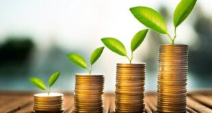 acoes que pagam dividendos mensalmente como investir dinheiro