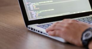 programming assignment help