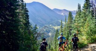 mountain bike for teenager