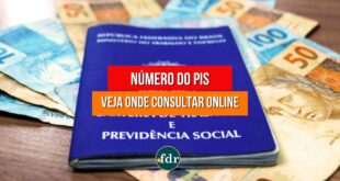 Imagens FDR 2022 11 01T143048.842