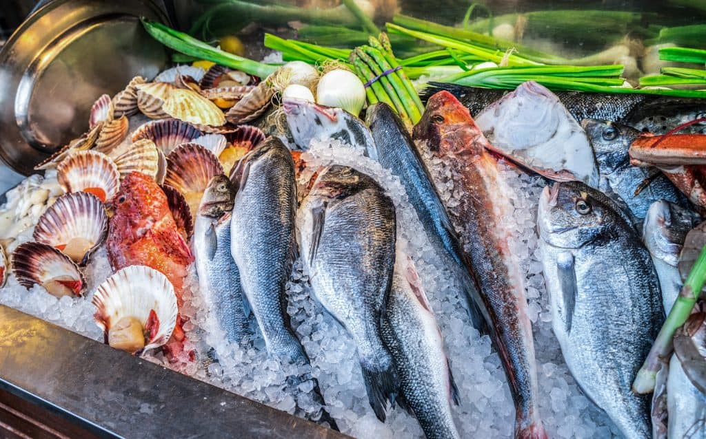 peixe fresco e robalo no gelo