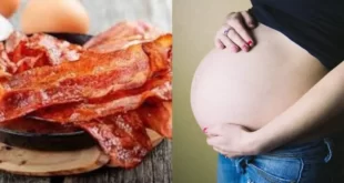 gravida pode comer prato de macarrao com bacon 2