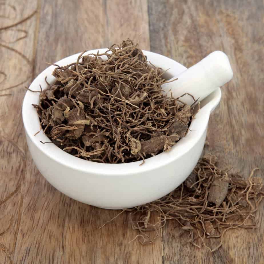 Grávida pode tomar chá de Cohosh Preto e Azul? Grávida pode tomar chá de Cohosh Preto e Azul?