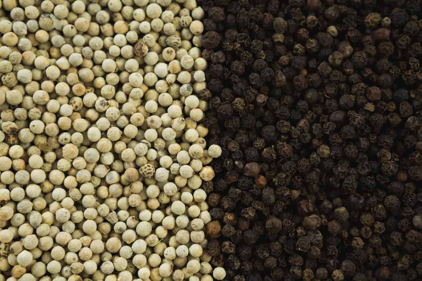 Pregnancy Food Checker Logo