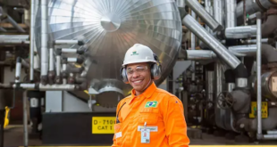 concursos petrobras funcionario