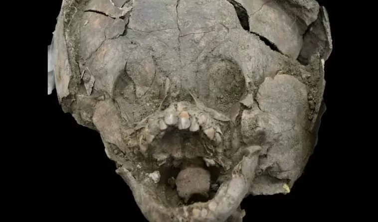 5cddf esqueleto de cranio de crianca no peru 0