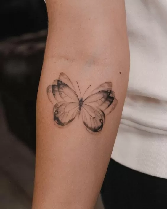 Diferentes desenhos para tatuar uma borboleta