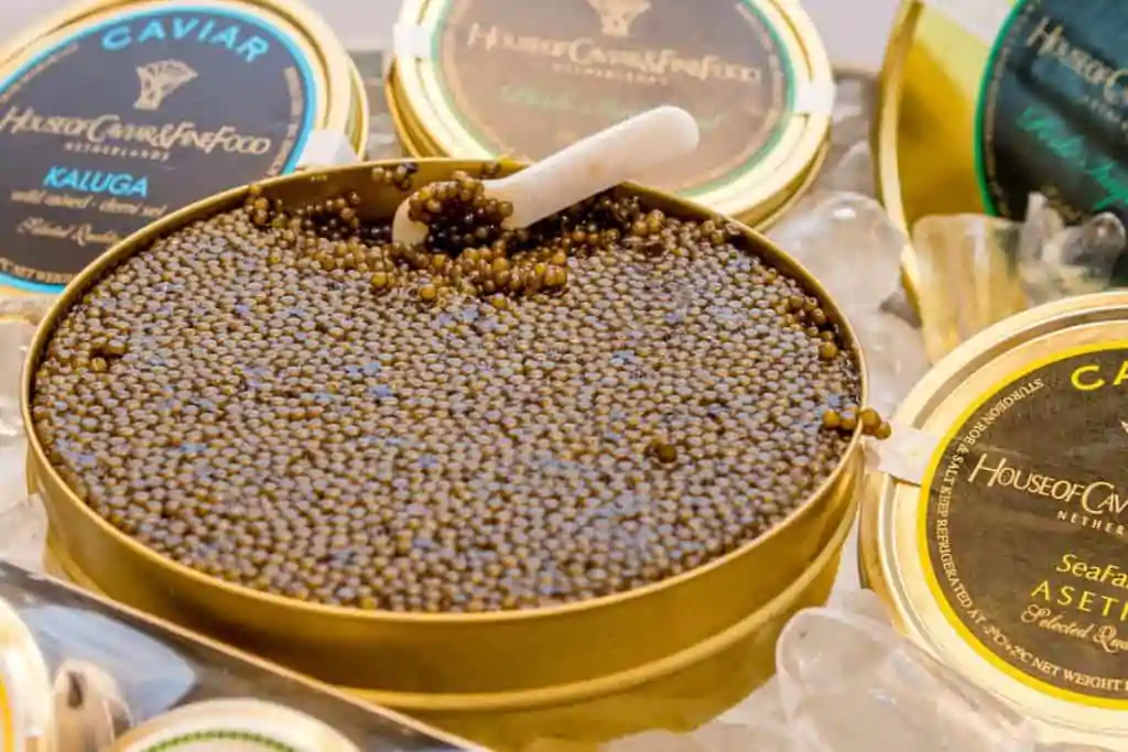 As mulheres gravidas podem comer caviar ovas de peixe ou