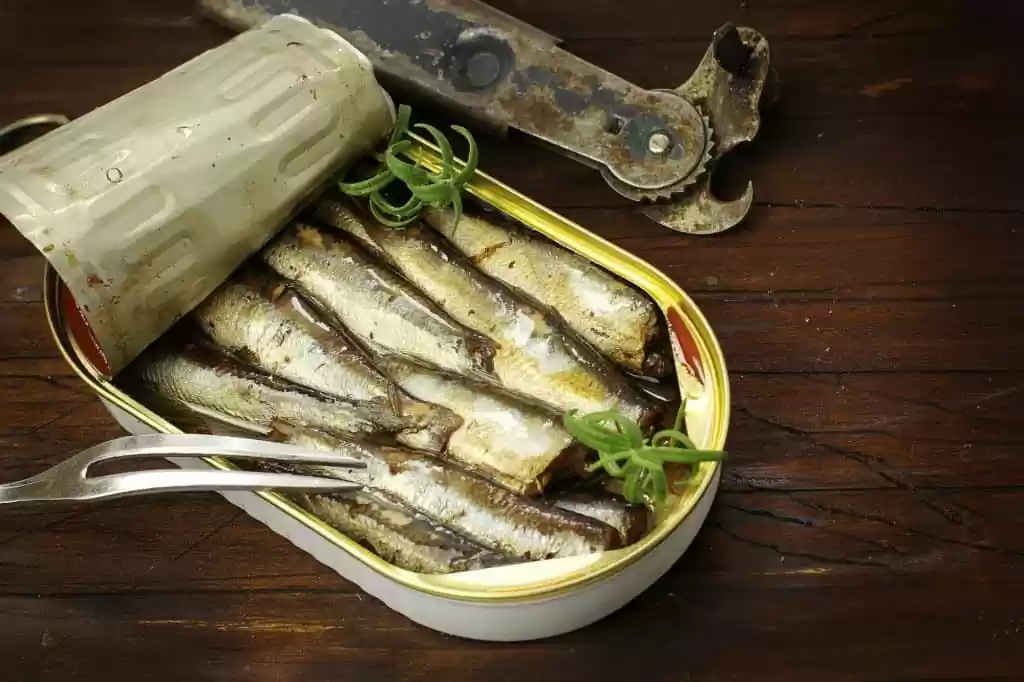 As sardinhas sao boas durante a gravidez Alem de enlatados
