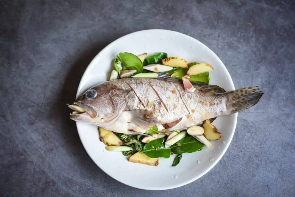 Comer garoupa durante a gravidez e um peixe seguro