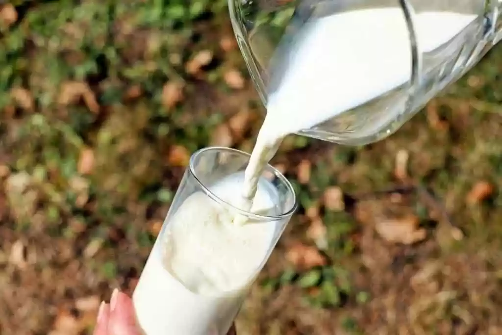 O leite de amendoa e bom durante a gravidez E
