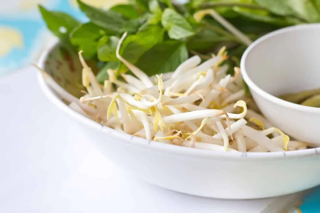 Mung beans or bean sprouts on white plates
